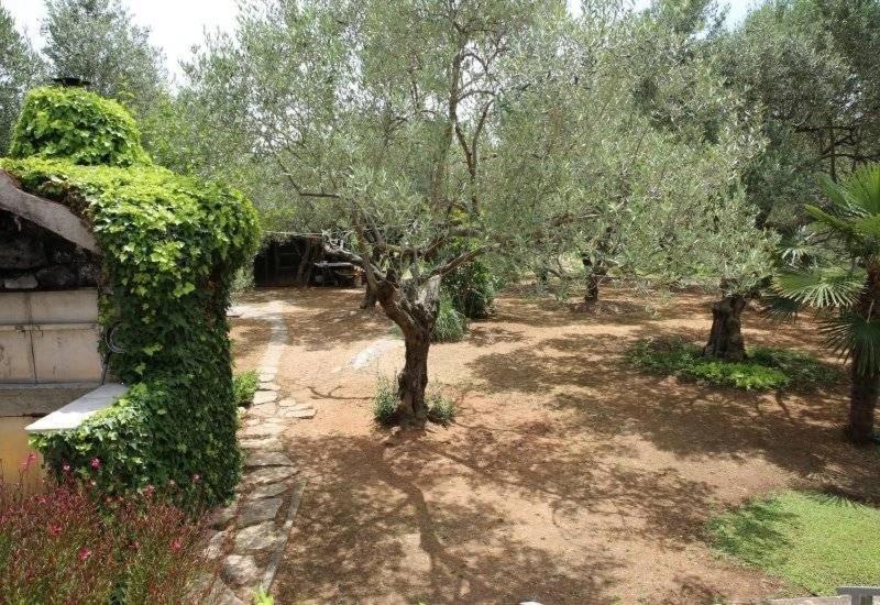 וודיצה Apartment Plava Plaza מראה חיצוני תמונה