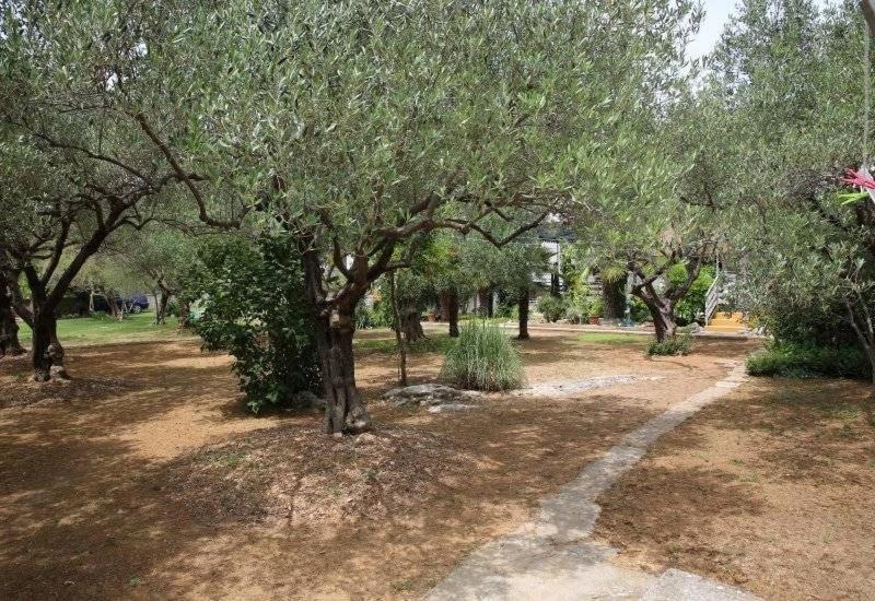 וודיצה Apartment Plava Plaza מראה חיצוני תמונה