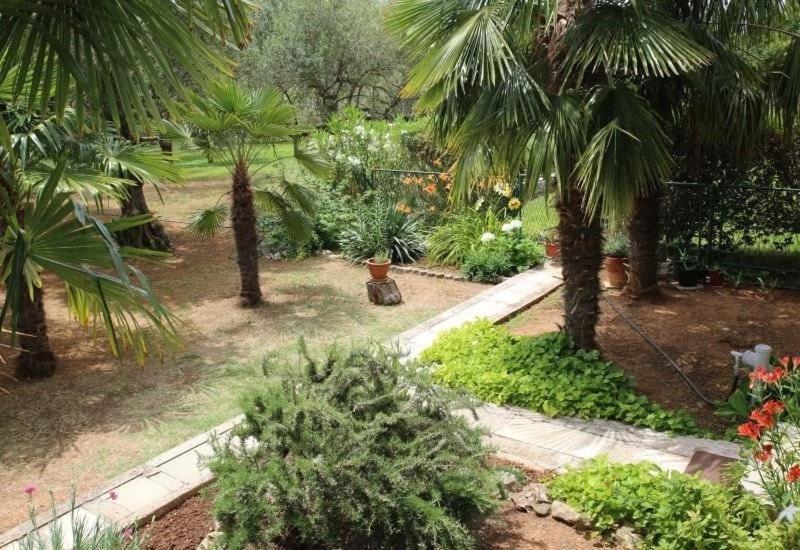 וודיצה Apartment Plava Plaza מראה חיצוני תמונה